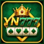 yn 777 logo